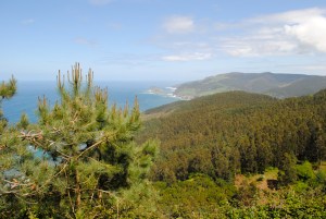 Pics © Susy Sapphire